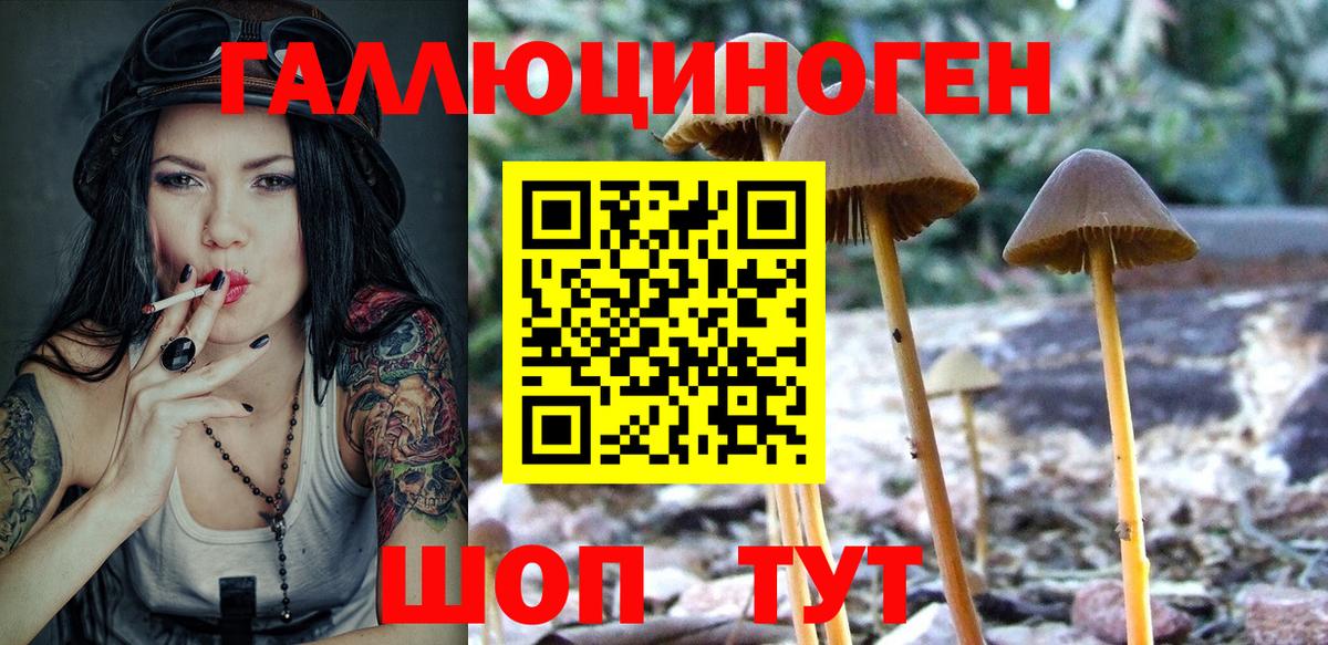 Псилоцибиновые грибы мицелий Белгород