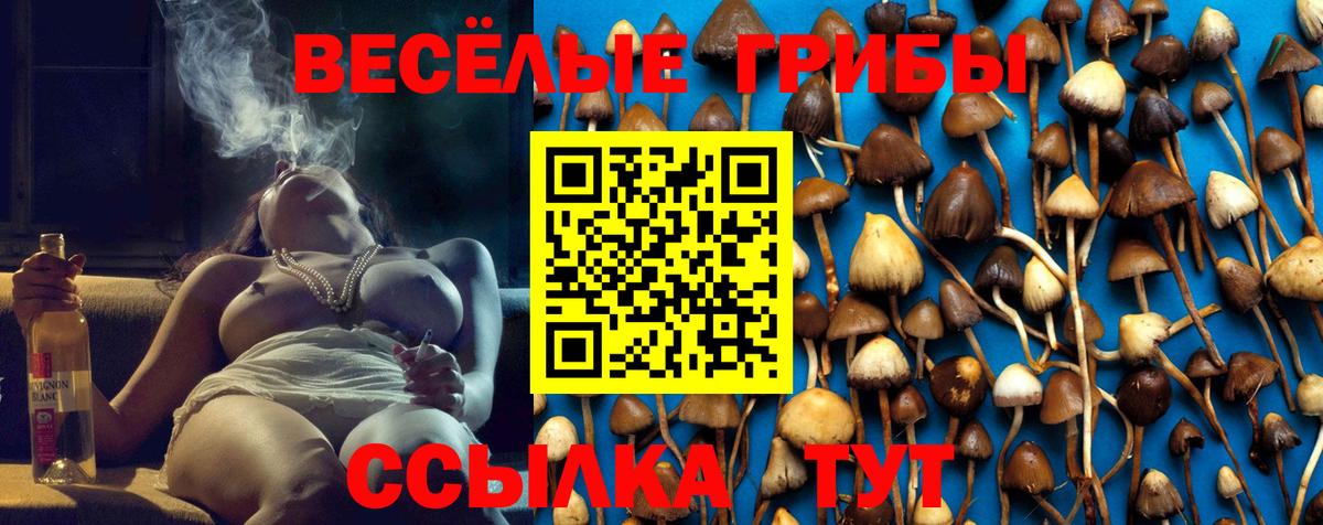 Белгород  Галлюциногенные грибы MAGIC MUSHROOMS  Вход с VPN 